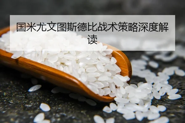国米尤文图斯德比战术策略深度解读